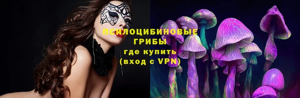 мяу мяу мука Баксан