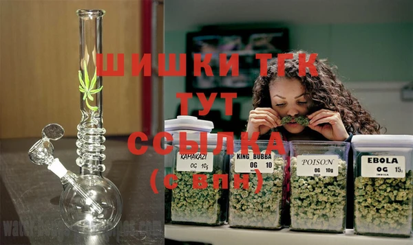 молекула духа Балахна