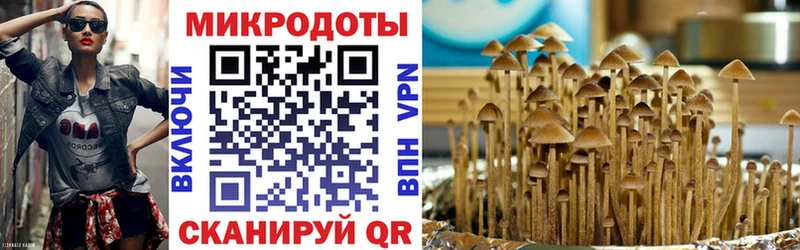 Галлюциногенные грибы Cubensis  где можно купить   MEGA рабочий сайт  Каневская 
